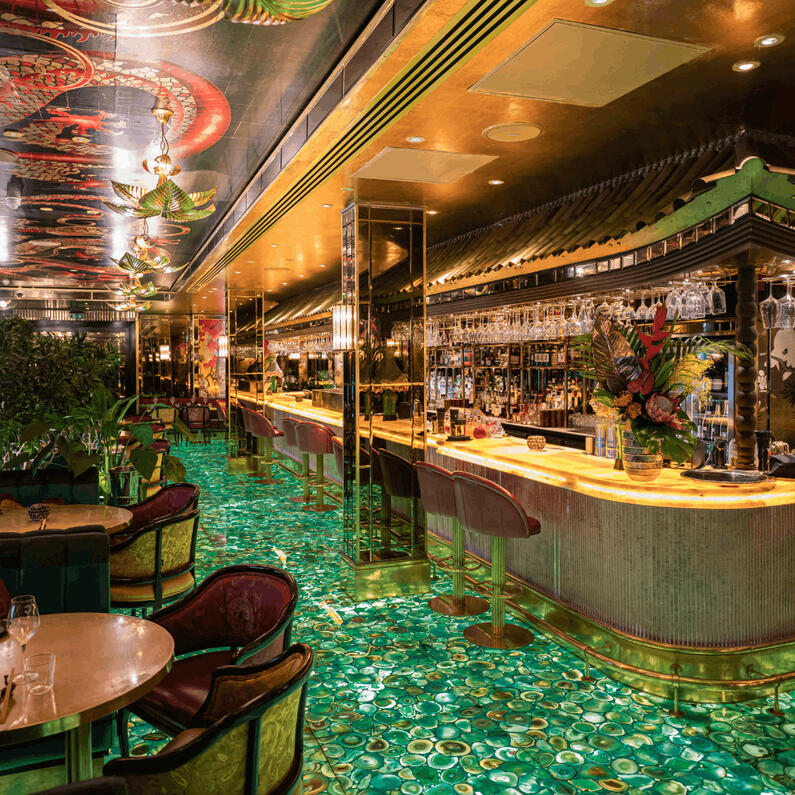 The Ivy